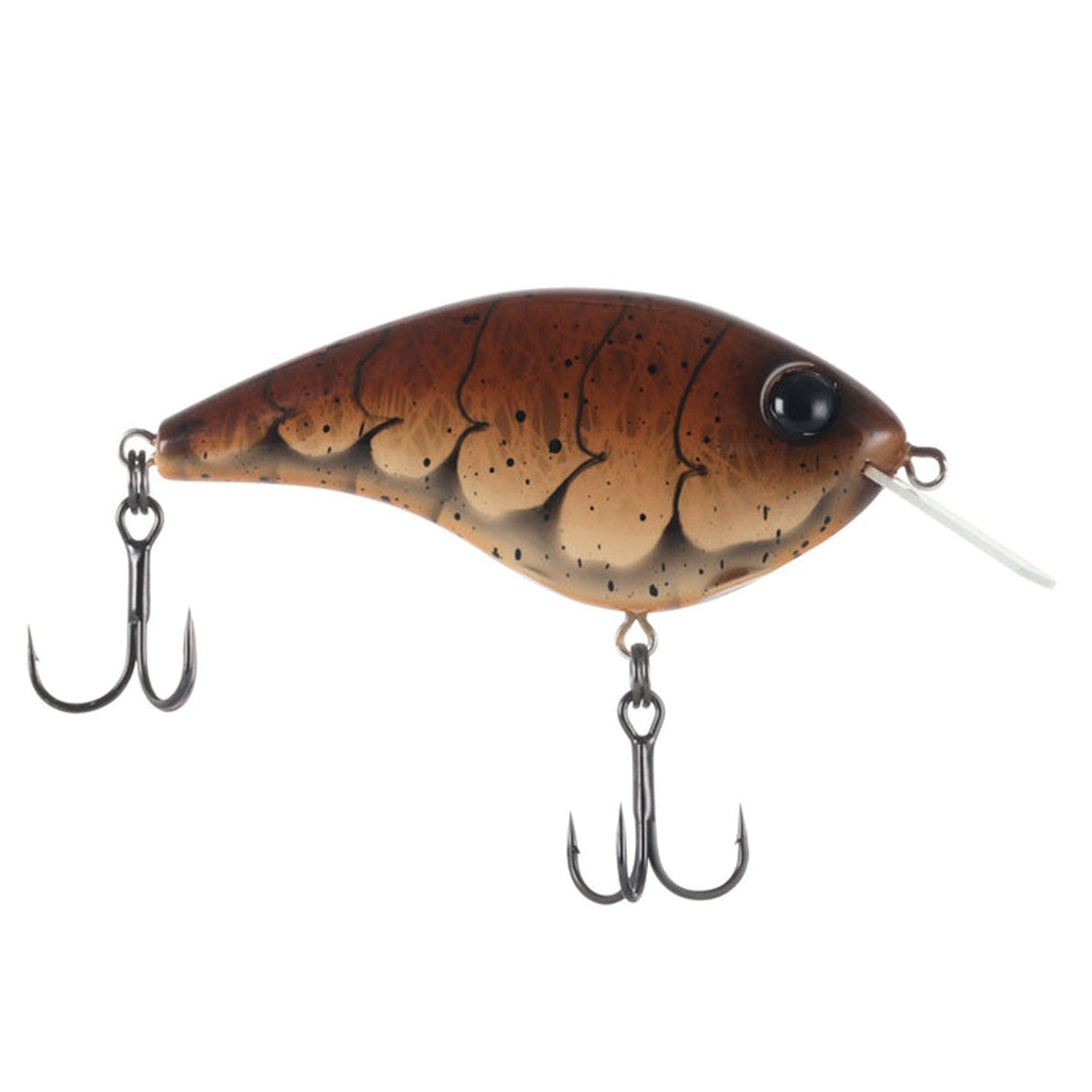 Berkley Frittside X Jr.