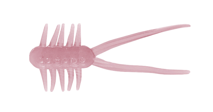 Clam Jamei Ice Plastics