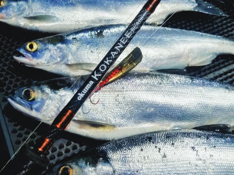 Okuma Kokanee Black Rods