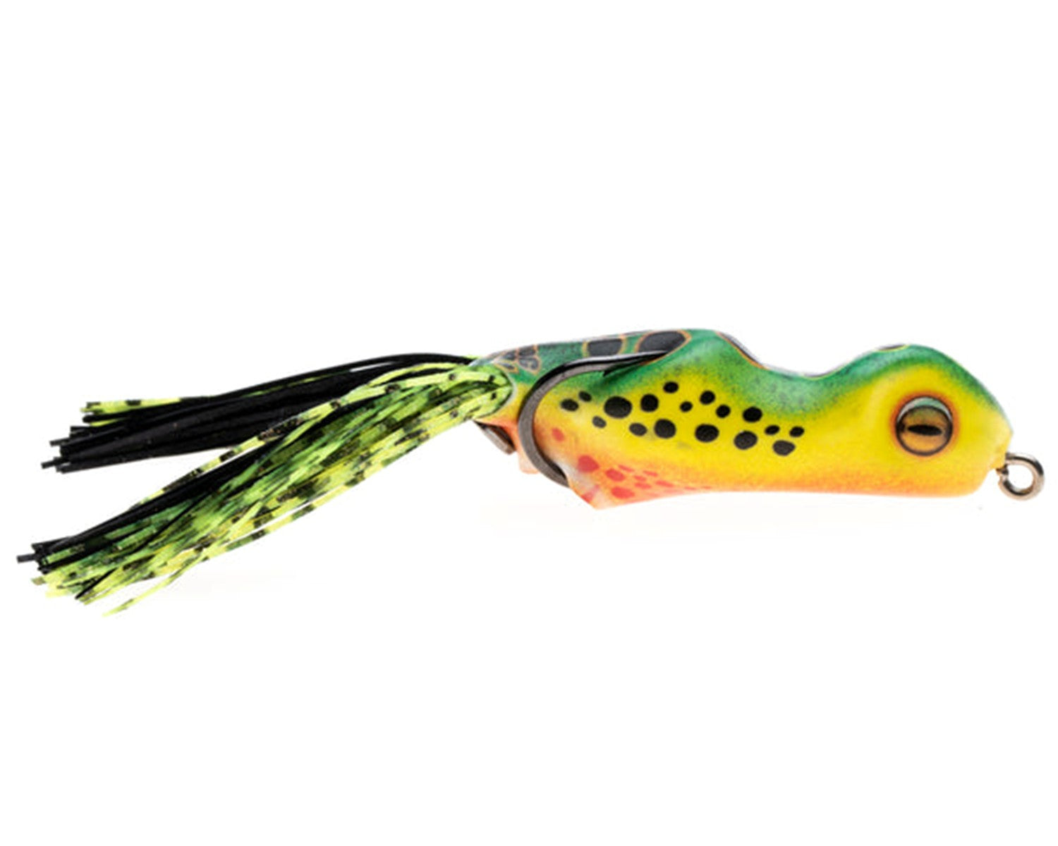 Scum Frog Painted Trophy Series Frog