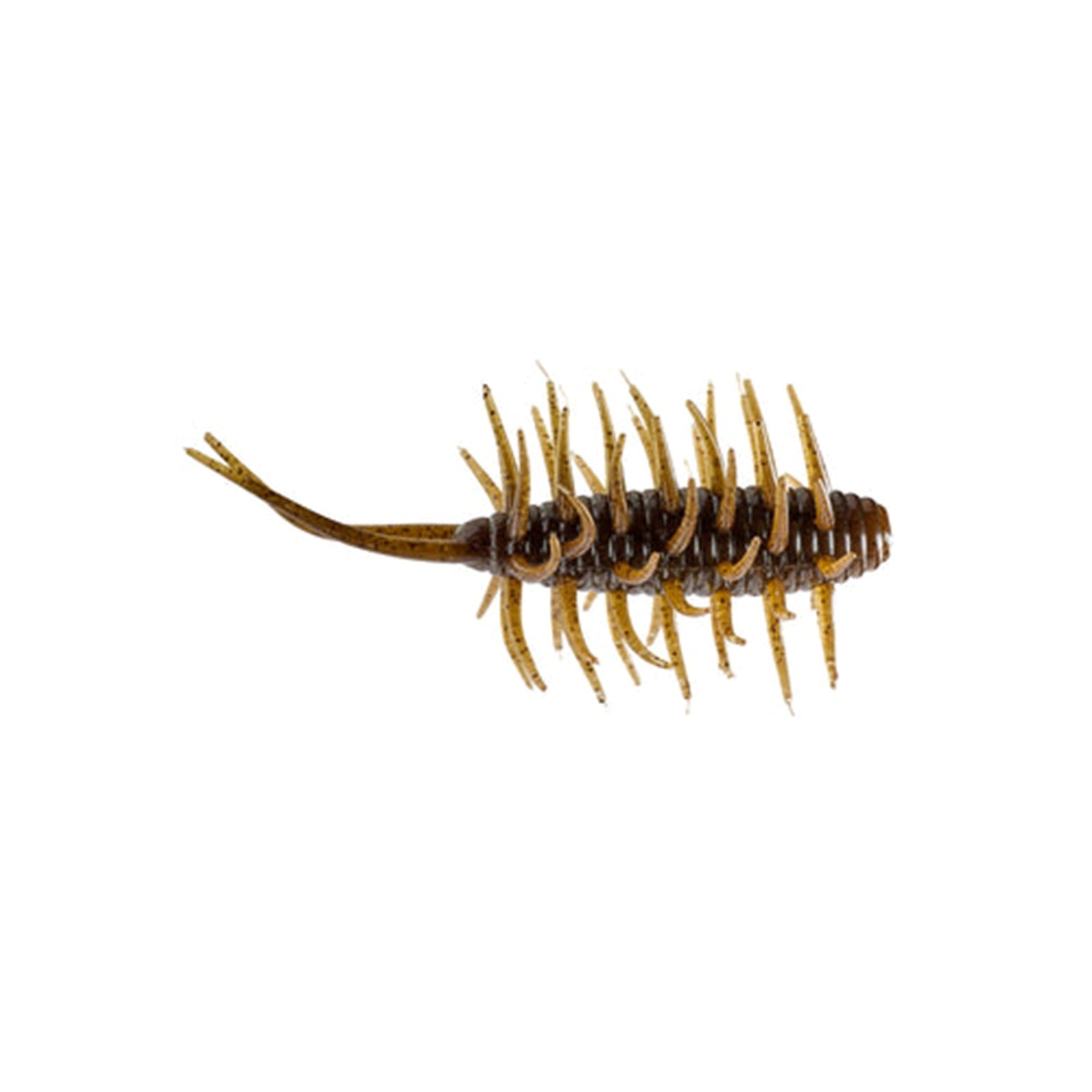HideUP Coike Shrimp Medium