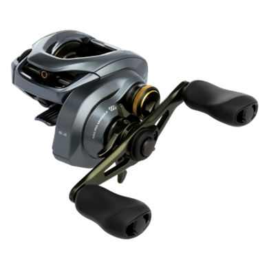Shimano Curado DC 200 Casting Reel