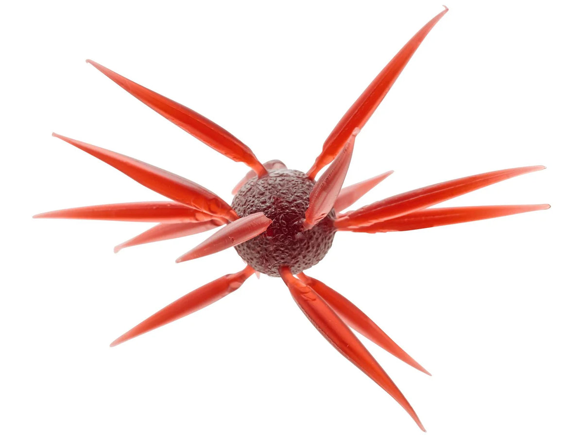 Hideup Coike Fish Elastomer