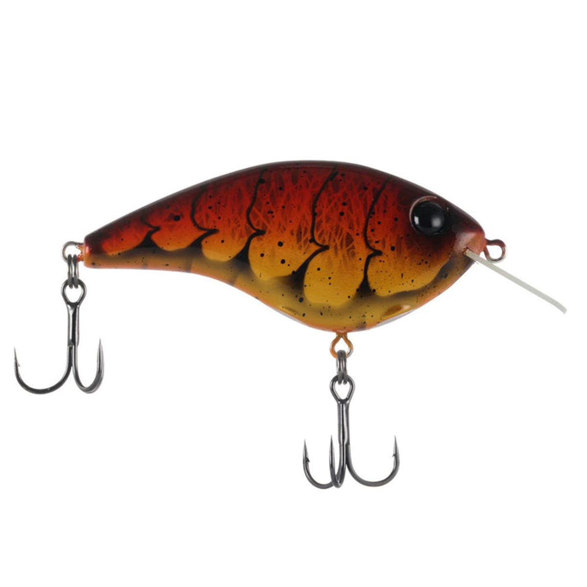 Berkley Frittside X Jr.