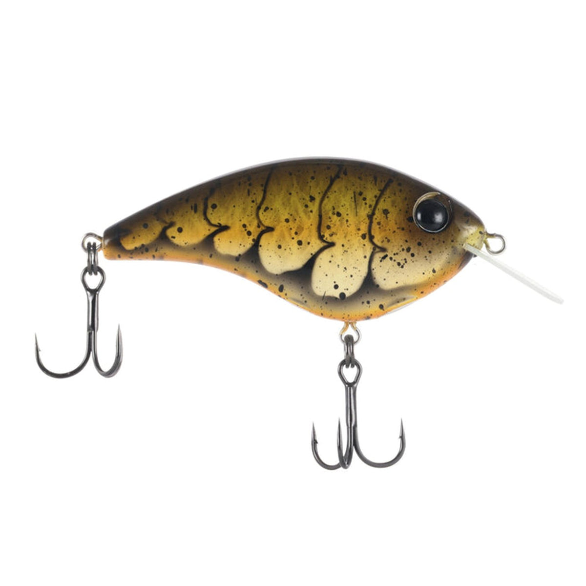 Berkley Frittside X Jr.