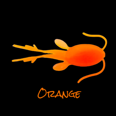 P3 Plastics Copee 7/8" Panfish Plastics