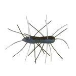 Z-Man Fuzzy Bugz 1.75" 4 Pack