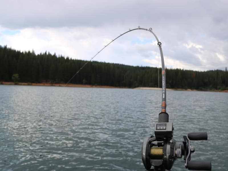 Okuma Kokanee Black Rods