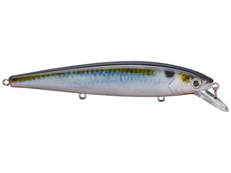 Strike King KVD 300 Jerkbait
