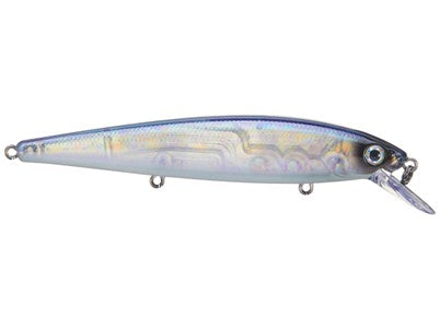 Strike King KVD 300 Jerkbait