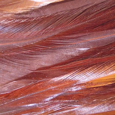 Wapsi Strung Rooster Saddles