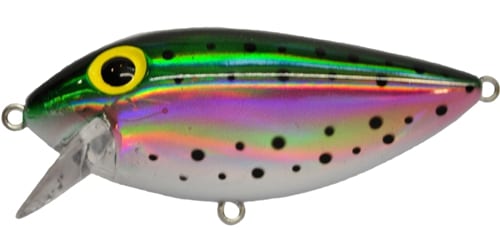 brad's thin fish lures Brad's ThinFish Lazer Rainbow
