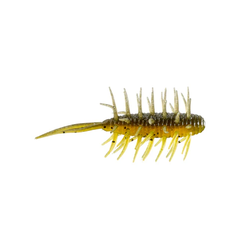 HideUP Coike Shrimp Medium
