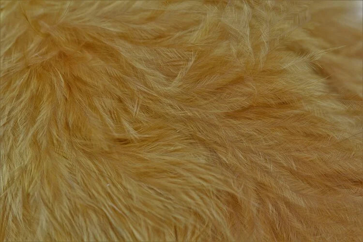 Wapsi Marabou Wooly Bugger