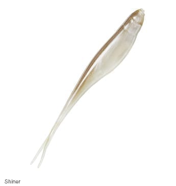 Z-Man Streakz Soft Jerkbaits